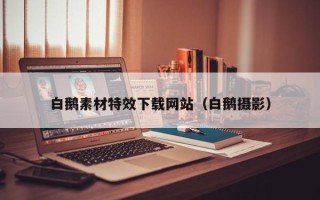 唐山白鹅素材特效下载网站（白鹅摄影）